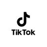 TikTok Ad Sizes logo