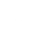TikTok Ad Sizes logo